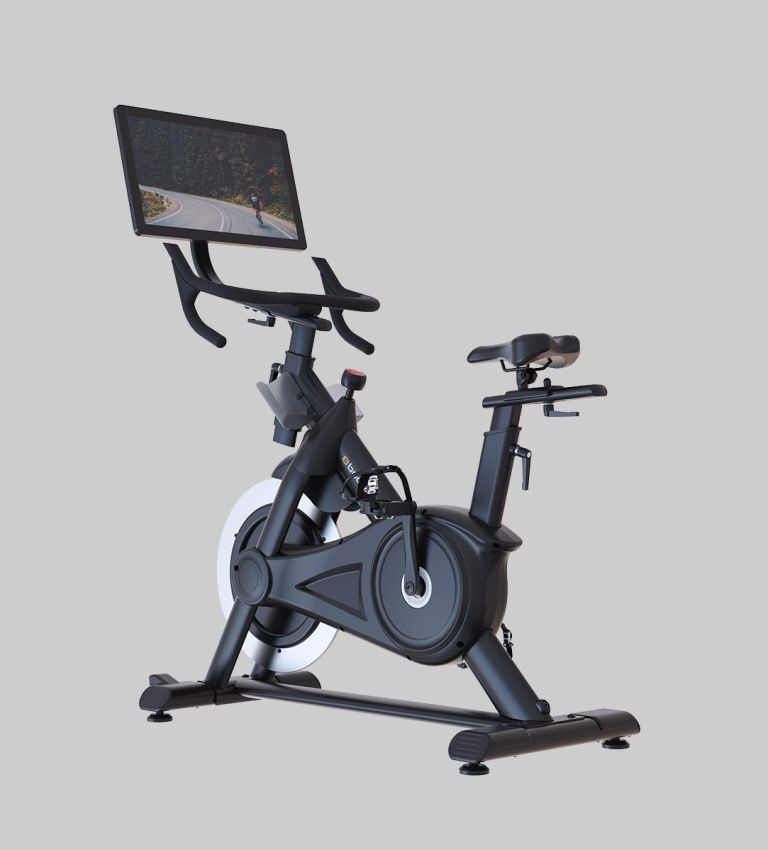 305E-21 Spin Bike