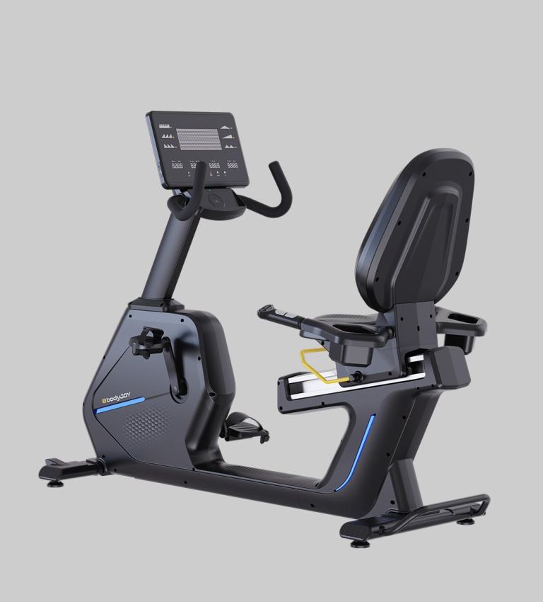 BR201E Recumbent