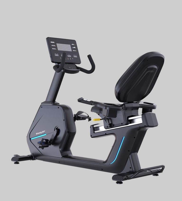 BR202E Recumbent