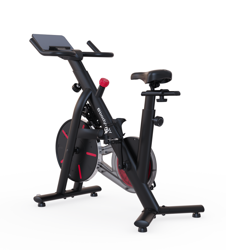 310 Spin Bike